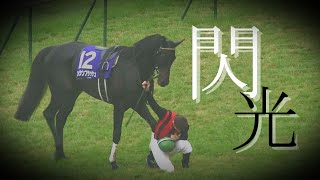 【競馬mad】閃光のような鋭い末脚【エイシンフラッシュ】