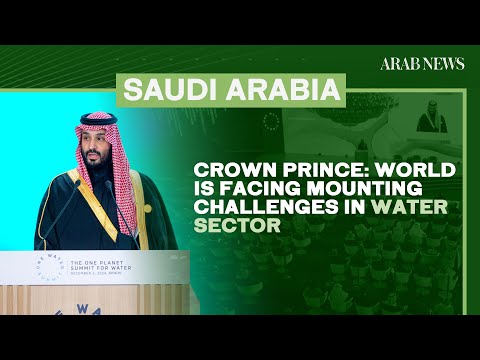 Crown prince: World is facing mounting challenges in water sector | Arab News