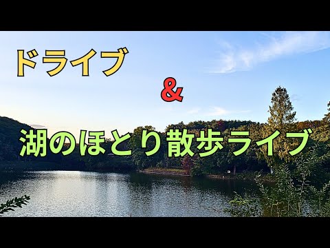 久しぶりのドライブ 🚙💨 何処へ行こうかな？ライブ配信中！