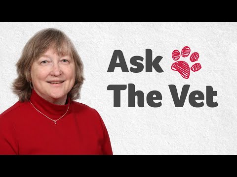 Ask The Vet with Dr. Greer