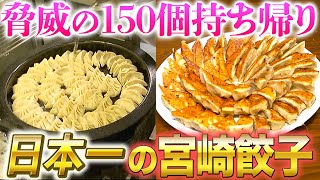 【シン・餃子王国 宮崎】1日16万個の爆売れ！日本一には理由がある【2022年4月21日 放送】