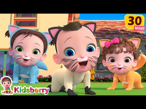 Three Little Kitten In the House + Alphabet Song and More Nursery Rhymes & Baby Songs - Kidsberry