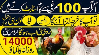 How To Start Poultry Business With 100 Chickens |100 Murgi Se Karobar Start Kre| @MianPoultryFarm