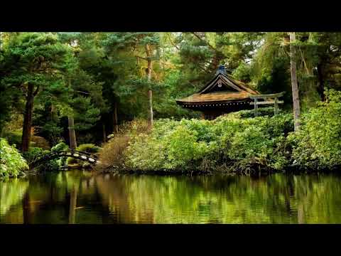 Relaxing Music Japanese Garden