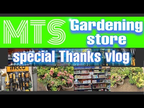 MTS Gardening Shop Vlog // Special Vlog on 1k Subscribers /KARACHI #gardeningseries#mtsgardening