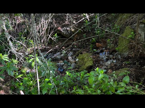 Finding Old Bottles Buried In the Woods Part 2