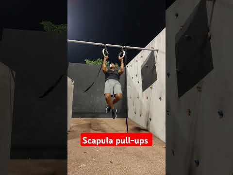 Scapula pull-ups #shorts #ytshorts #scapula #calisthenics #scapulapullups