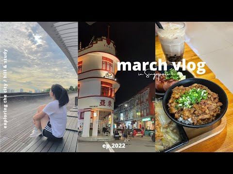 VLOG⛅productive days in Singapore,trekking,online class,food hunting&more🌻