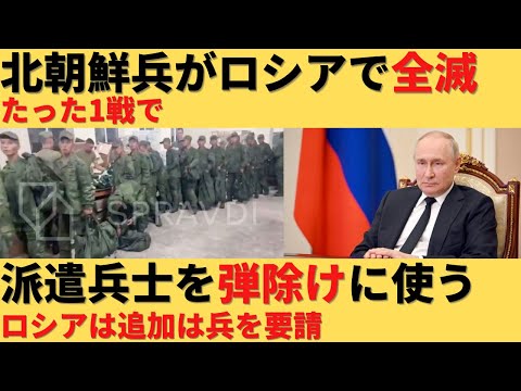 【ゆっくり解説】ロシアに派遣された北朝鮮兵士がすでに全滅