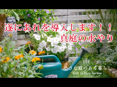 ガーデニング Vlog｜夏庭の水やり、遂にあれを導入しました｜自動水やり機〜小さな庭のある暮らし 133〜Gardening ｜ Life in a tiny garden