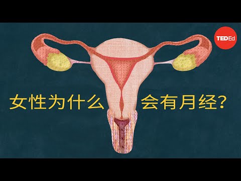 女性为什么会有月经？