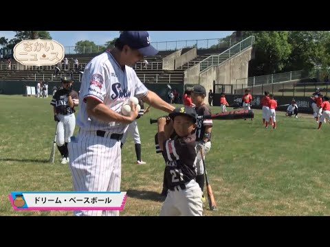 さかいの壺　令和5年10月15日更新