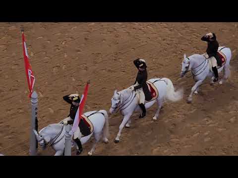 Spanish Riding School of Vienna Stallion Performance, Austria