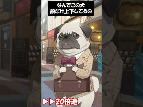 顔だけ上下犬　#shorts