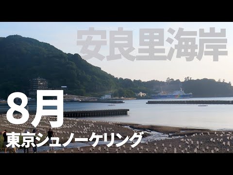 ＃２８安良里海岸でシュノーケリング（2017年8月）【東京シュノーケリング】