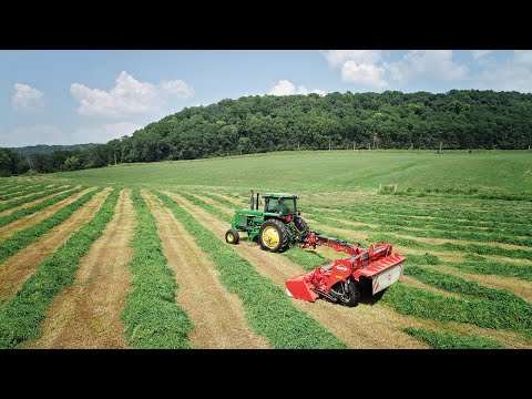 Mowing 2nd Cut Bottom Ground - KUHN 4061 TCD