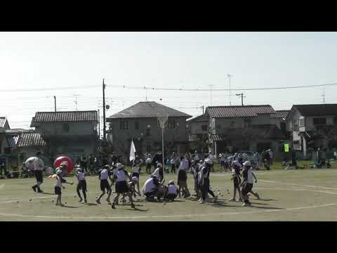 小学校運動会「玉入れ」M1190017　2024/11/04