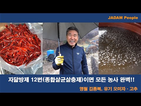 자닮방제 12번(종합살균살충제)이면 모든 농사 완벽!! (Everthing is solved with JADAM All-Purpose Pesticide)