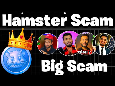 HAMSTER SCAMMER ! Important News Big Scammer On YouTubers | Hamster Scam ?