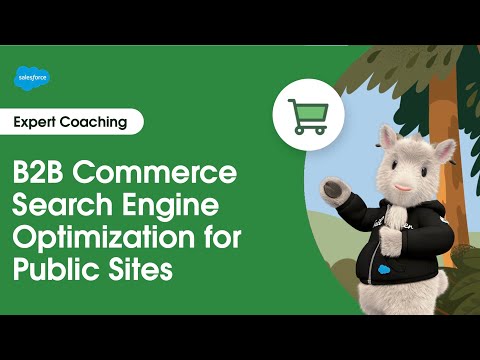 B2B Commerce: Search Engine Optimization for Public Sites | Expert Coaching