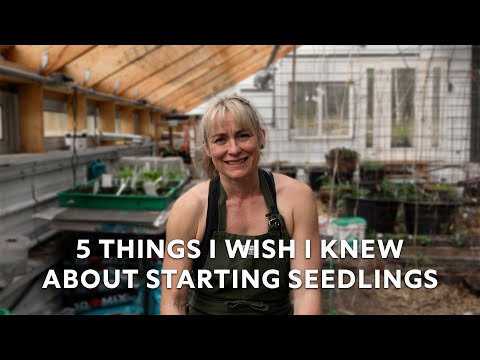 5 Things I Wish I Knew Before Starting My Seedlings