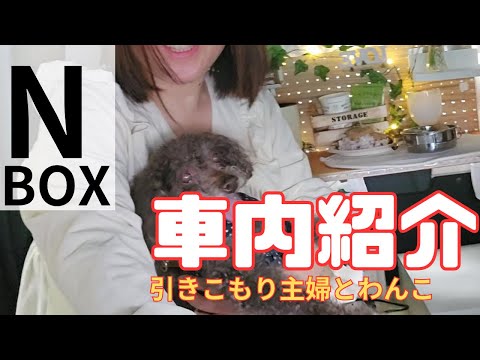 【主婦がN-BOXの床を増設！】愛犬と車内でランチを楽しみました！車内オシャレ！パンチングボード設置で快適なランチタイム