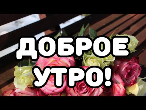 💎💎💎💎💎💎💎💎💎Доброе утро! Пусть сегодня будет добрый хороший день! 💎💎