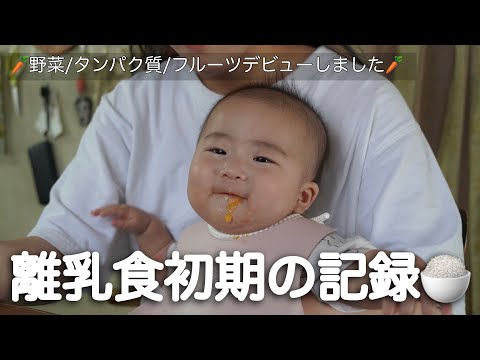 【初野菜】人間のふりした天使のお食事記録【生後６ヶ月】