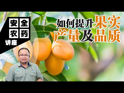 【Baba安全农药讲座】如何提升瓜果和果树的果实产量及品质？钙镁硼对果实产量的很重要！缺少会出现什么症状？| 品质影响因素、危害症状、有机补救方法 | 钙镁硼元素