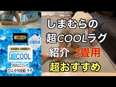 【しまむら超COOLラグ】おすすめラグ