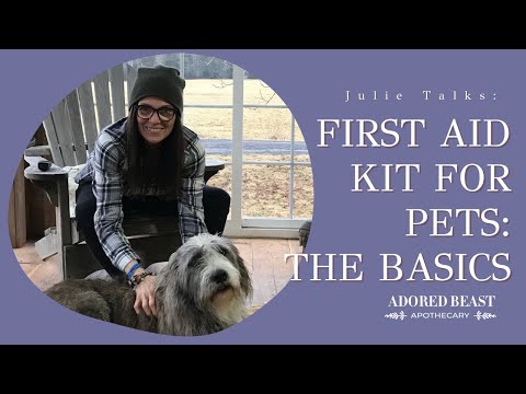 First Aid Kit for Pets: The Basics