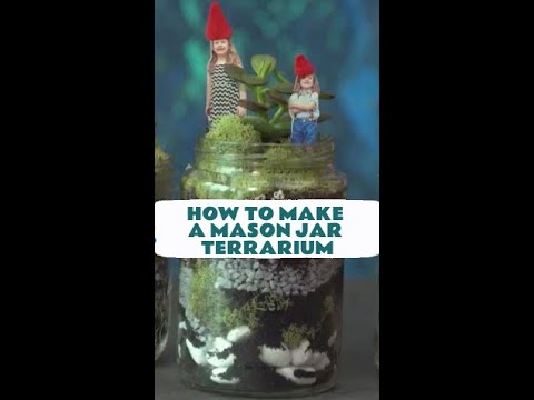 DIY Mason Jar Terrarium 🪴