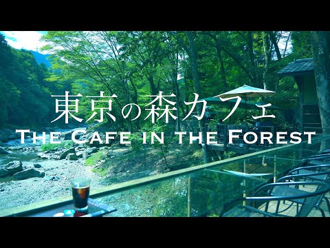 【Tour of Forest cafes in Tokyo】Forest cafes where you can relax and feel the nature.