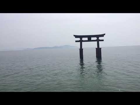 【日本滋賀】近江高島 白鬚神社(白髭神社)湖上鳥居