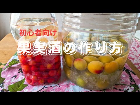 [簡単♪]初心者向け♥️果実酒の作り方〜梅酒&チェリー酒🍒〜