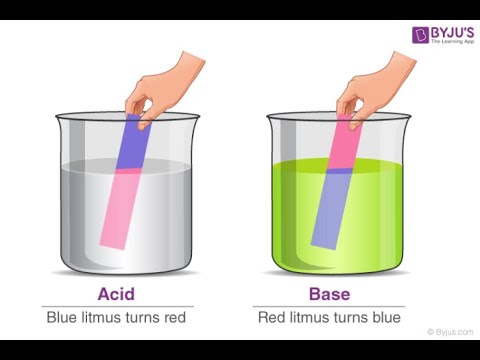 Test substances using Litmus Paper