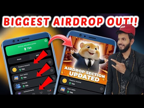 Hamster Kombat Airdrop 💵 | Hamster Kombat biggest Airdrop | Hamster Airdrop