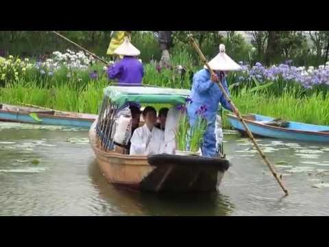 2014あやめ祭り「嫁入り舟」 水郷佐原水生植物園（6月7日）