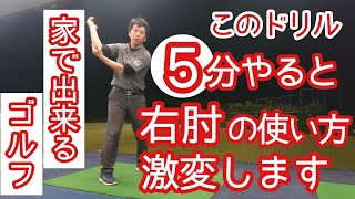 【家でゴルフ練習】５分で右肘の使い方が激変します❗このドリルやってみて😁👍