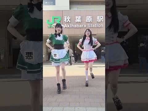 【秋葉原】RPG 踊ってみた  #shorts #メイドカフェ #コンカフェ嬢  #コンカフェ