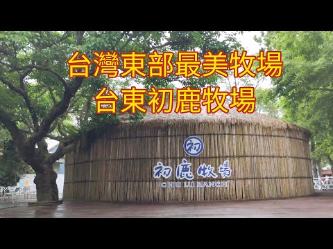 台灣東部最美牧場--台東初鹿牧場