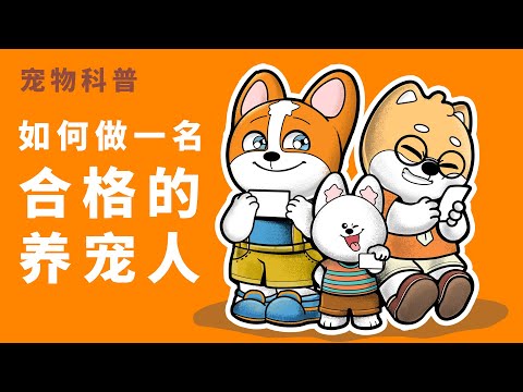 【宠物科普】教新主人基本的养猫护理技巧