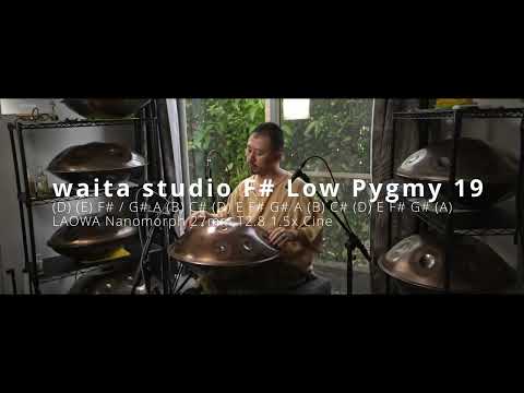 waita studio F# Low Pygmy 19 20241113