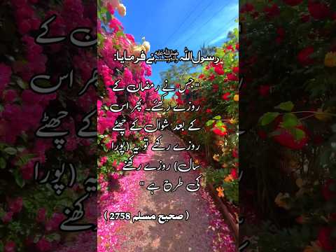 شوال کے چھ روزے پورے سال کا ثواب