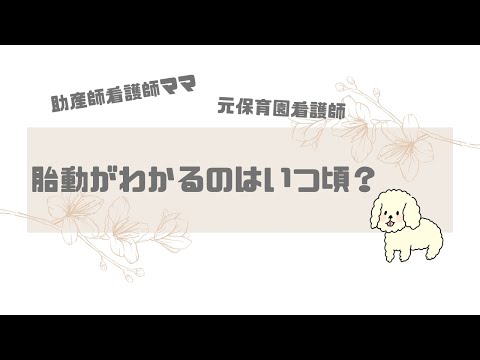 【妊娠】胎動がわかるのはいつ？１６週で胎動がわかるようになりました！