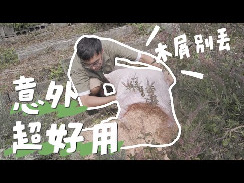 木屑4種用法大公開，效果超強居家必備，後悔現在才學到｜山小日子 Sam’s daily production