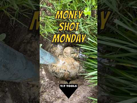 MoneyShotMonday 11/4/24 #shorts