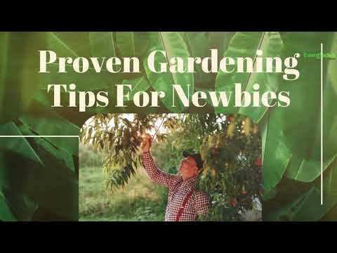 Proven Gardening Tips For Newbies | Everglades Farm