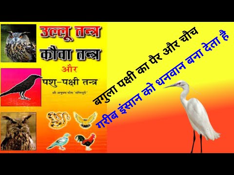 mantra | उल्लू तंत्र और कौवा तंत्र , घर में धन वृद्धि करने का उपाय | the tantra