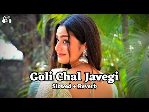 Goli Chal Javegi [ Slowed & Reverb ] Latest Haryanvi Song | New Lofi Song